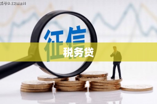 蠡县税务贷