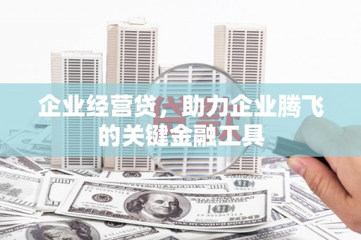 孙吴企业经营贷，助力企业腾飞的关键金融工具