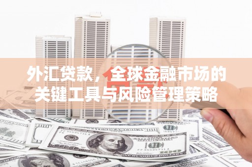 昌吉外汇贷款，全球金融市场的关键工具与风险管理策略