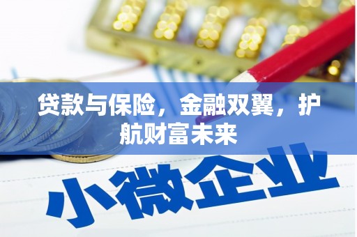 双阳贷款与保险，金融双翼，护航财富未来
