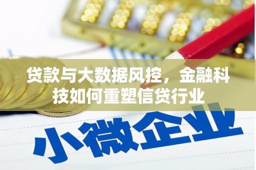 林甸贷款与大数据风控，金融科技如何重塑信贷行业