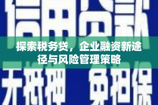 娄烦探索税务贷，企业融资新途径与风险管理策略