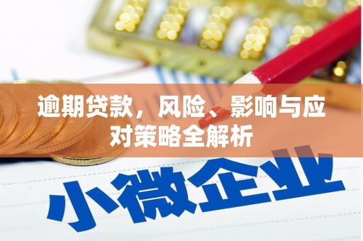 大冶逾期贷款，风险、影响与应对策略全解析