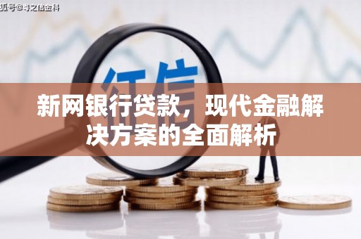 新店新网银行贷款，现代金融解决方案的全面解析