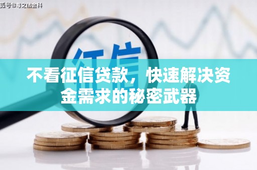 林甸不看征信贷款，快速解决资金需求的秘密武器