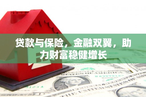 东坡贷款与保险，金融双翼，助力财富稳健增长