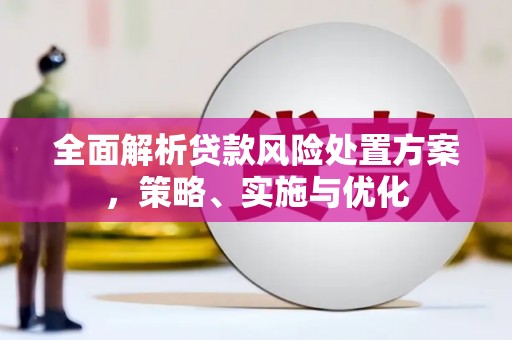 黄南全面解析贷款风险处置方案，策略、实施与优化
