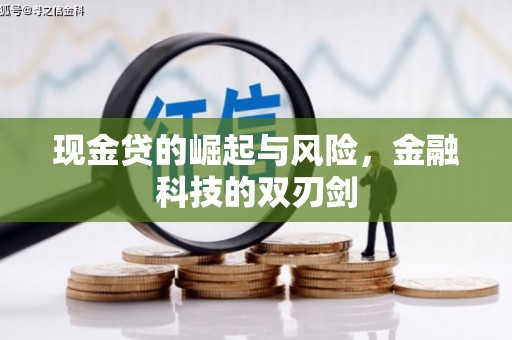 苏尼特右旗现金贷的崛起与风险，金融科技的双刃剑