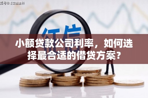 夏津小额贷款公司利率，如何选择最合适的借贷方案？