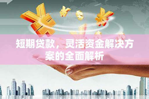 卧龙短期贷款，灵活资金解决方案的全面解析