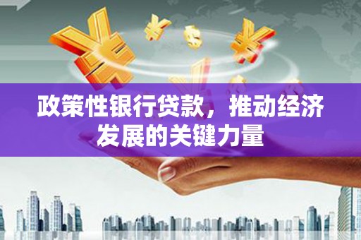 云和政策性银行贷款，推动经济发展的关键力量