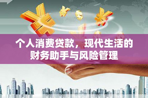 盘龙个人消费贷款，现代生活的财务助手与风险管理