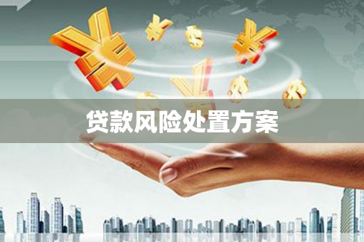 花地玛堂区贷款风险处置方案