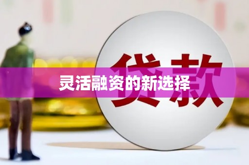 塘厦灵活融资的新选择