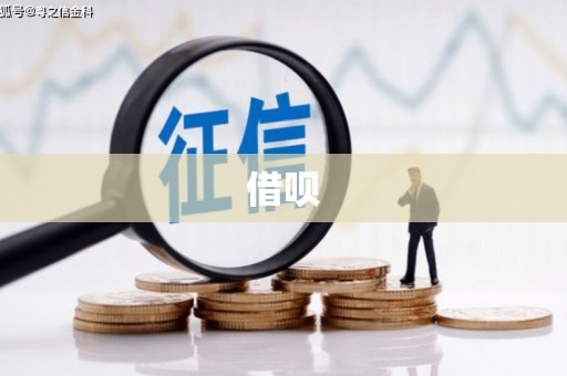 鹿寨借呗