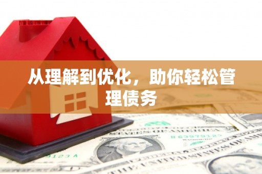 阿莲从理解到优化，助你轻松管理债务
