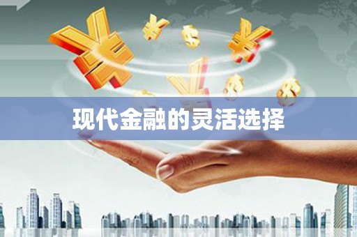 台西现代金融的灵活选择