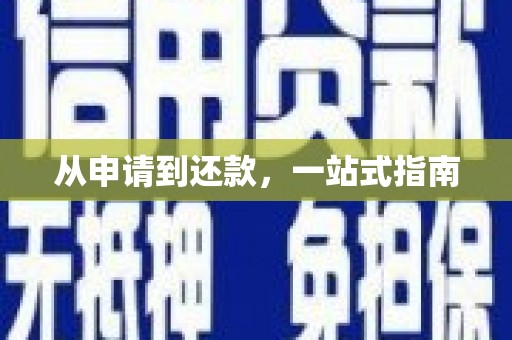 台西从申请到还款，一站式指南