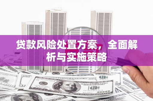 士林贷款风险处置方案，全面解析与实施策略