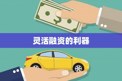 高要灵活融资的利器