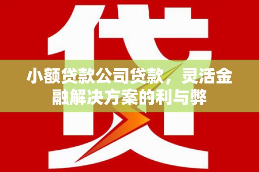 达拉特旗小额贷款公司贷款，灵活金融解决方案的利与弊